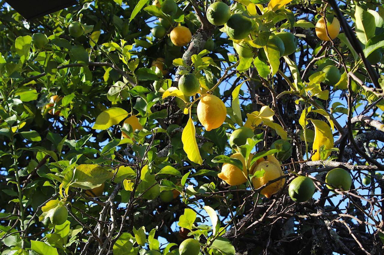 Recanto Tia Sao Magalhaes 蓬蒂-达巴尔卡 外观 照片